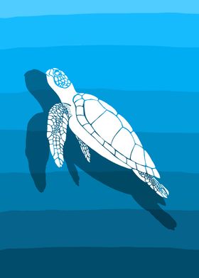 Turtle blue background