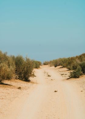 Desert Pathway