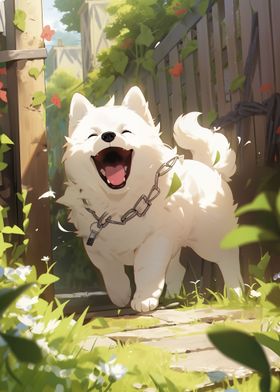 Happy Samoyed Dog