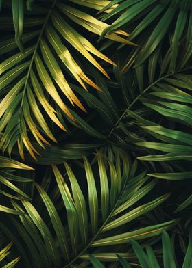 Palm Gold Leaf
