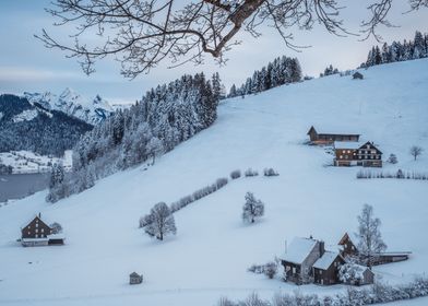 Winter day in Switzerland