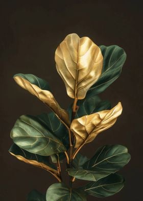 Gold Fiddle Leaf