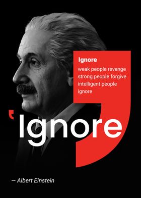 Einstein quote ignore