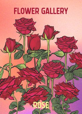 Flower Gallery Rose 