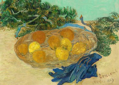 Still Life of Oranges