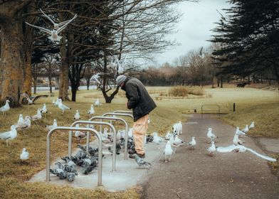 Feathered Gathering