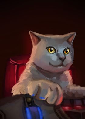 gaming cat 