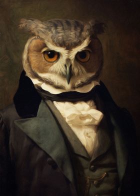 Owl aristocrat