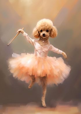 Toy Poodle Ballerina