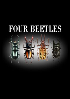 Four Beetles on black