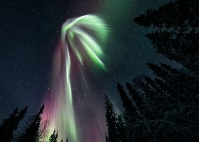 Aurora Explosion
