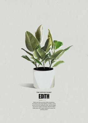 Edith The Office Plant