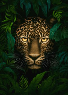 African Leopard in jungle