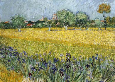 Field with Flowers