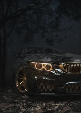 BMW Black Autumn