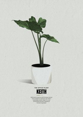 Keith The Office Plant