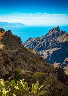 Canary Island View