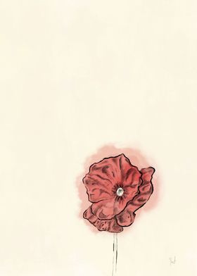 Red Poppy