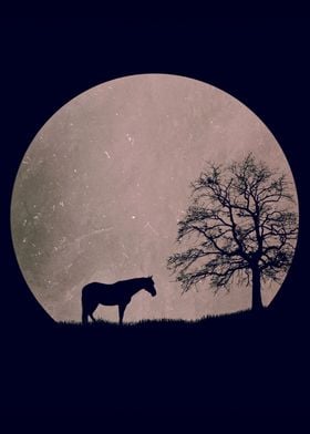 Horse Silhouette