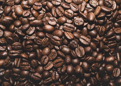 Coffee Beans Pattern 1