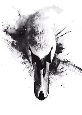 Swan Watercolor