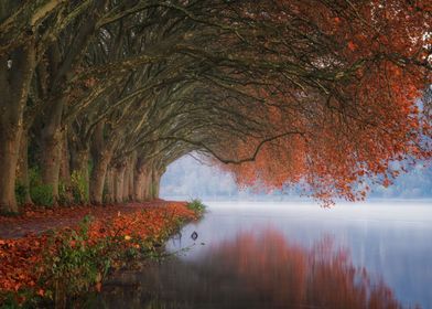 Autumn reflections