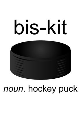 Hockey Puck Definition