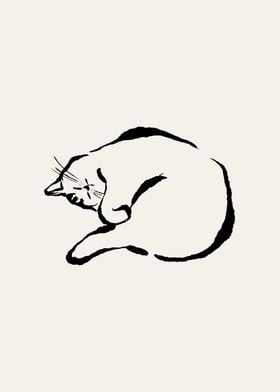 Sleeping cat