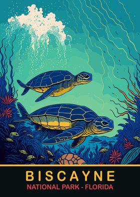 Biscayne Sea Turtles