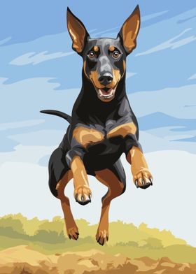 Dobermann Jumping Vector