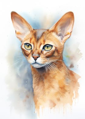 Abyssinian cat watercolor