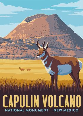 Travel to Capulin volcano