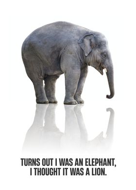am I an elephant