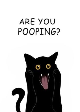 BLACK CAT ARE YOU POOPING