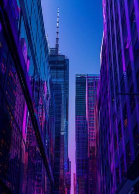 Building Purple City