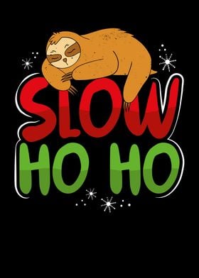 Slow sleeping sloth