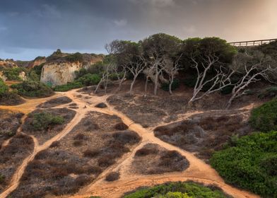 Algarve Coastal Landscape