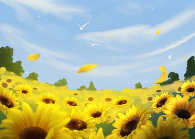 Sunflower field