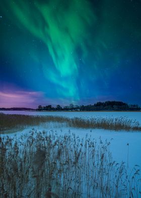 Aurora Lights