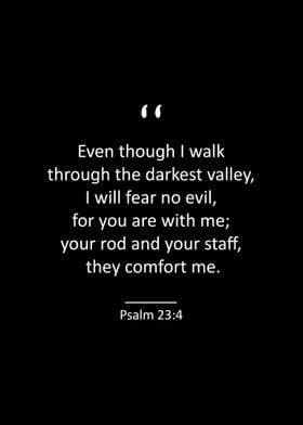 Psalm 23 4