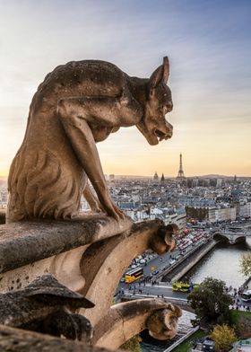 Notre Dame Gargoyle Paris