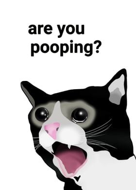 BLACK CAT ARE YOU POOPING