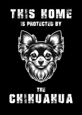 Chihuahua Protection