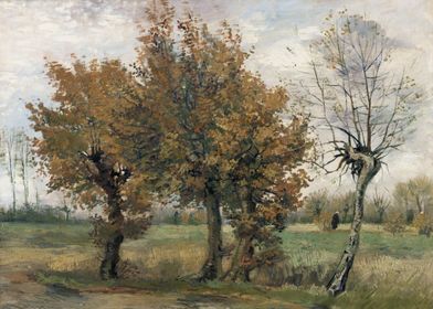 Autumn Landscape