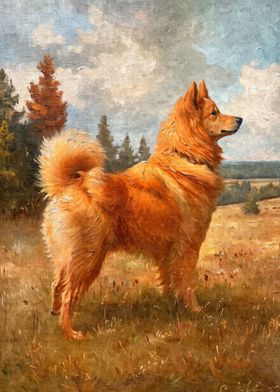 Vintage Finnish Spitz