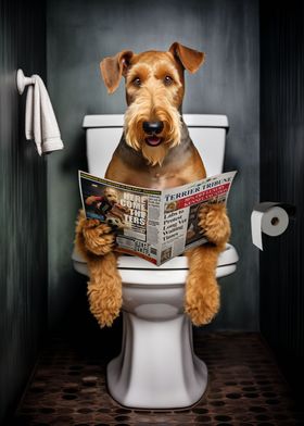 Airedale Terrier on Toilet