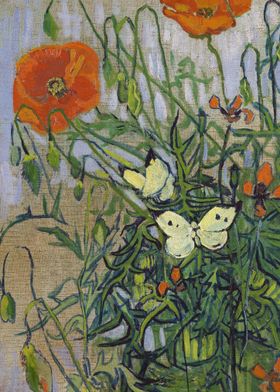 Butterflies and poppies 