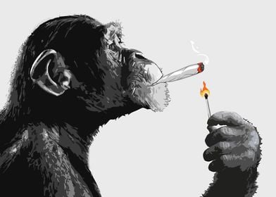 Monkey smoking