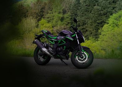 Kawasaki Green Siedeshot