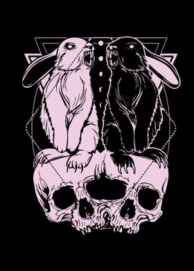 rabbit skulls